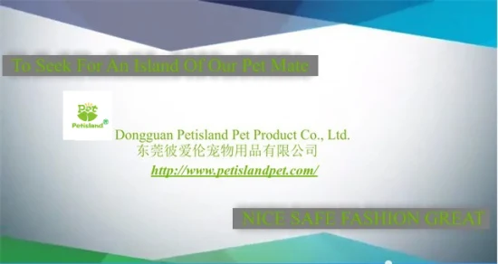 2023 Petisland Wholesale Dog Product Custom Pet Supply Lead Dog Sets High Quality Fashion Nylon Leash Dog Training Collar